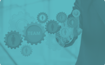 What Temperaments Do You Have On Your Team? [Infographic]