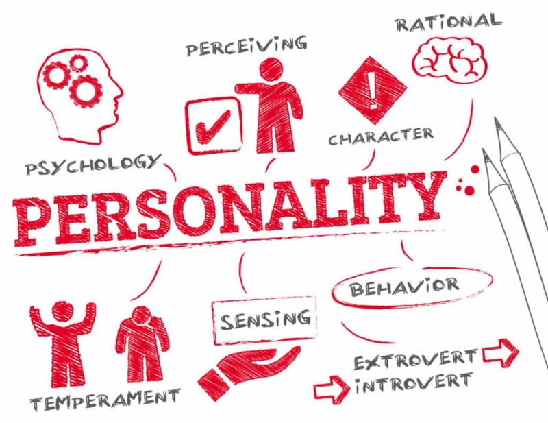 Myers Briggs Personality Test: Let's Explore Your Personality Type!